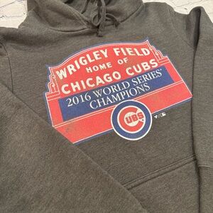 Chicago Cubs 2016 World Series Champions Gray Fanatics Hoodie L